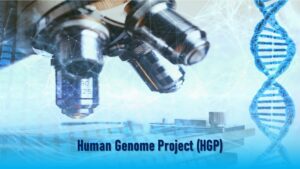 Human Genome Project (HGP)