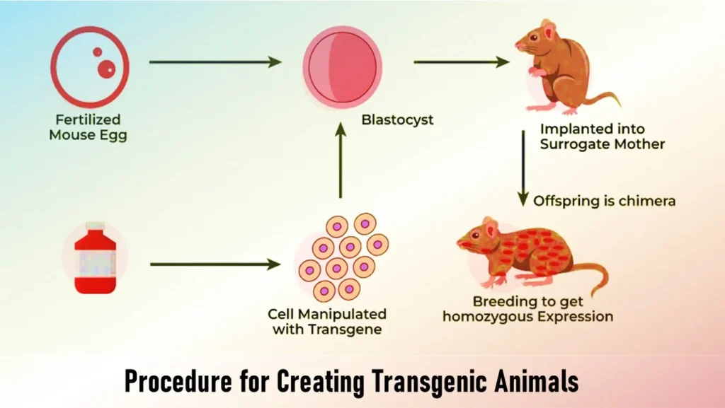 Transgenic Animals