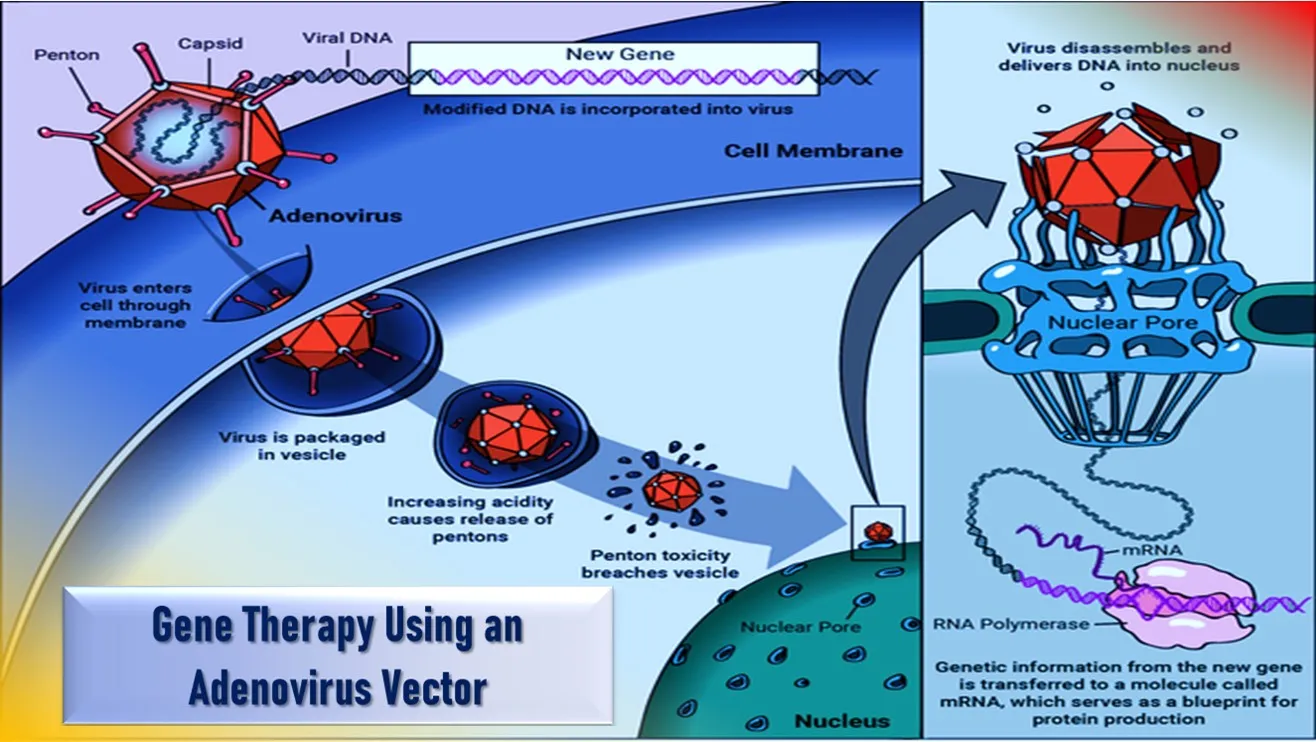 gene therapy